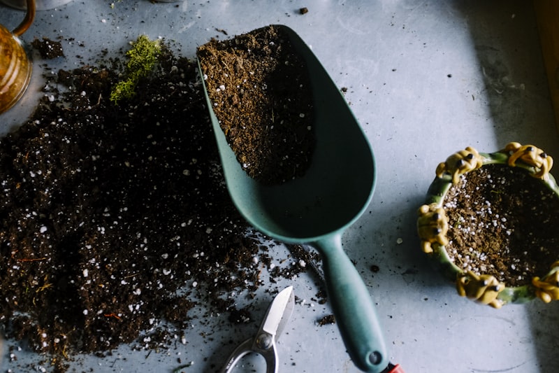 Yard waste removal in Southern Oregon